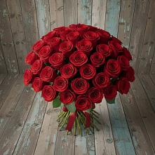 Букет 55 Красных роз Фридом #REPLACE_PRED# Елизаветинской Ростовской области