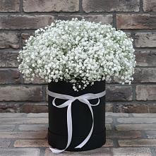 Цветочная композиция из Гипсофила в шляпной коробке в Елизаветинской Ростовской области