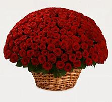 Премиум букет из: Розы в Елизаветинской Ростовской области